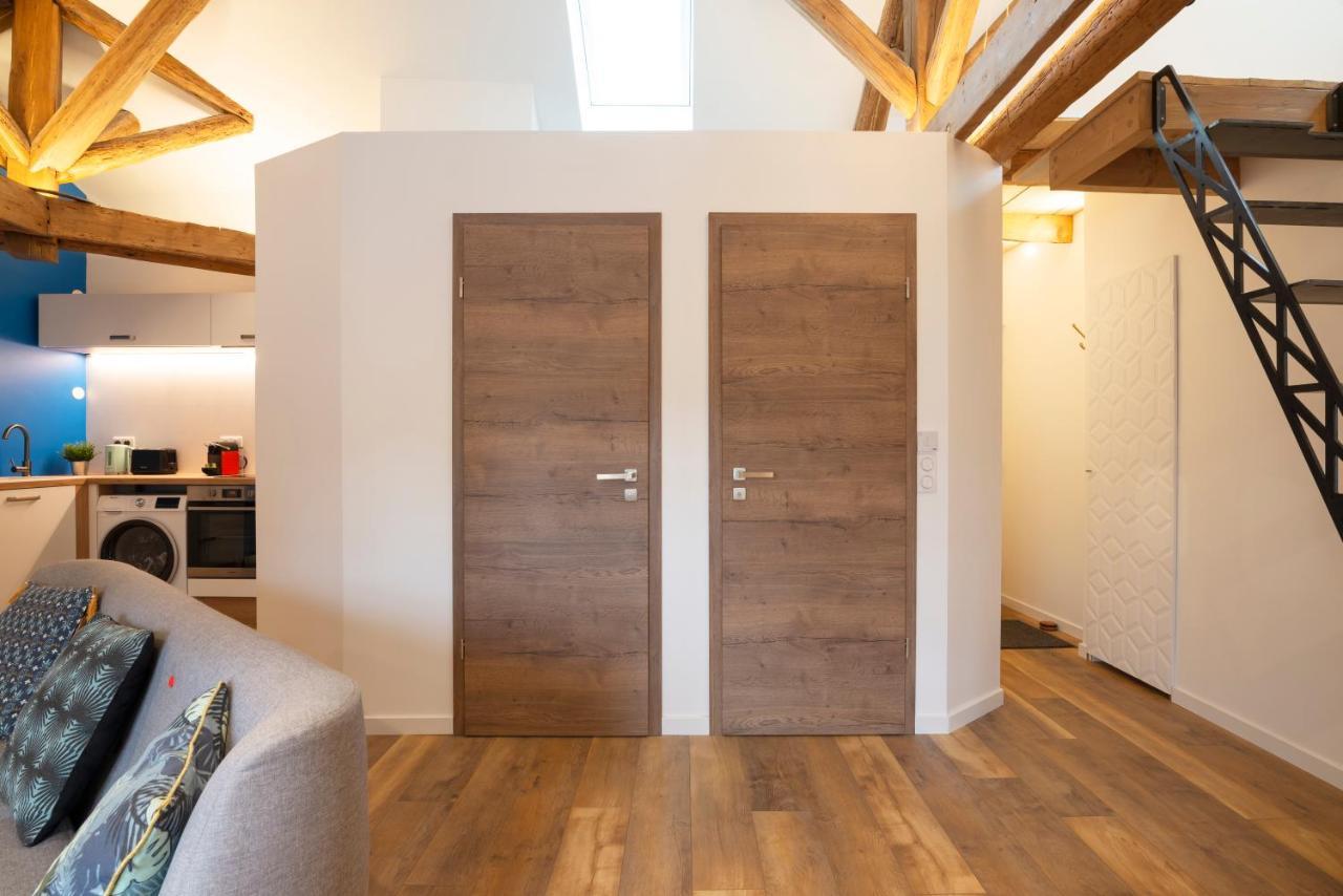 Le Favori De Montesquieu Apartment น็องซี ภายนอก รูปภาพ