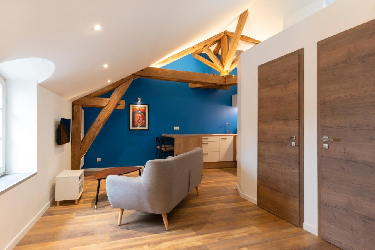 Le Favori De Montesquieu Apartment น็องซี ภายนอก รูปภาพ